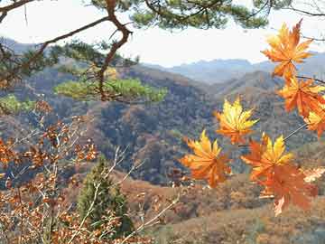 韩国菜-韩国菜谱大全带图片和做法