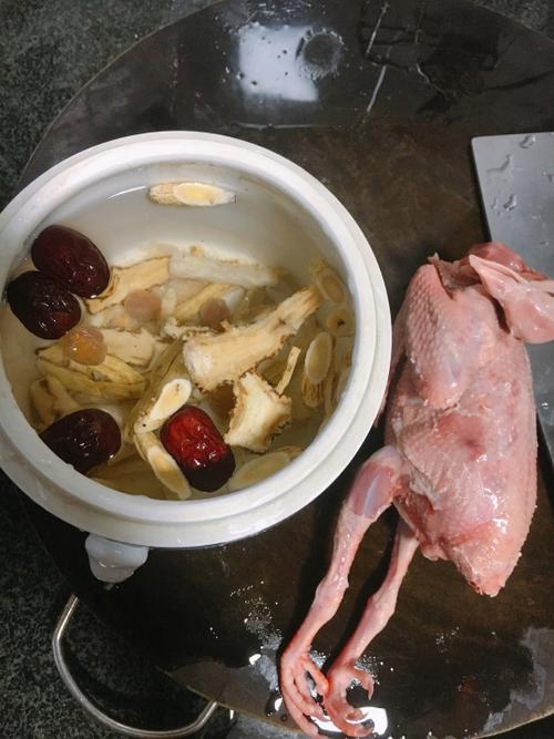 鸽子炖汤-鸽子炖汤好还是蒸着有营养