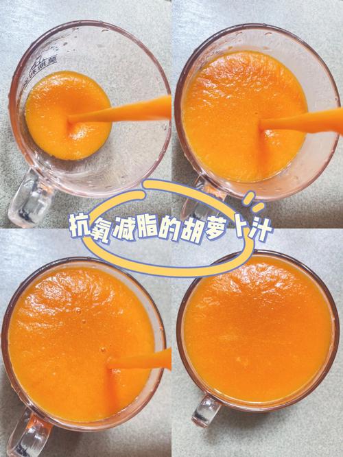 胡萝卜汁的做法-胡萝卜汁的做法破壁机