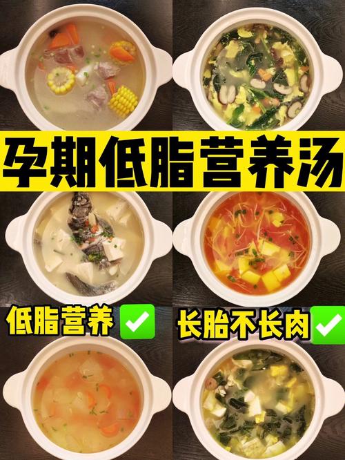 孕妇汤-孕妇汤的做法大全