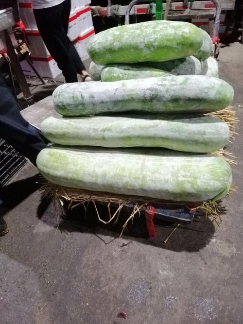 冬瓜图-冬瓜图片大全
