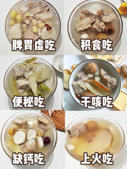 食补大全-食补大全营养汤