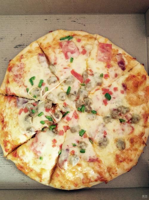 比萨饼的做法-披萨饼的做法大全