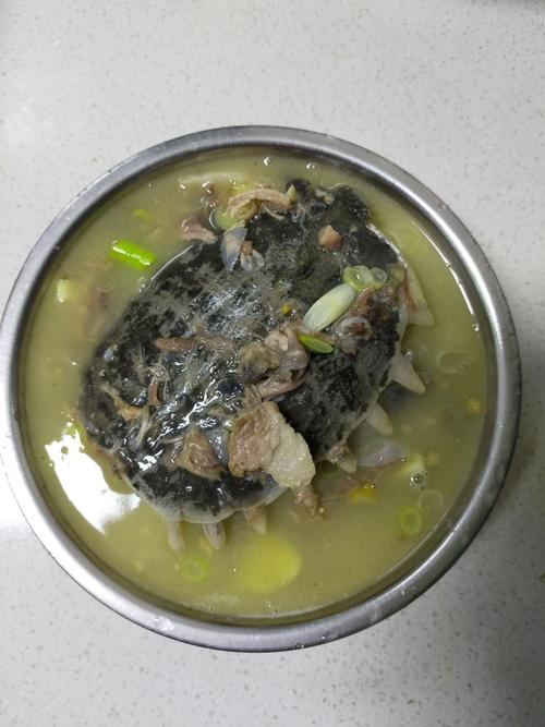 甲鱼汤怎么炖好吃-甲鱼汤怎么炖好吃视频