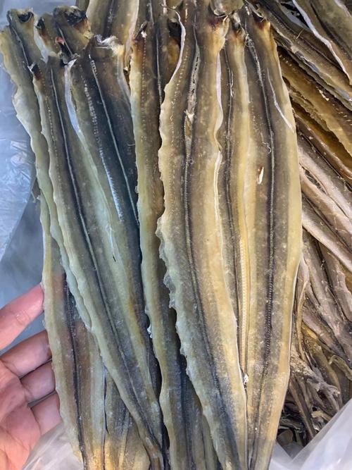 鳗鱼干怎么吃-鳗鱼干怎么吃好吃又简单