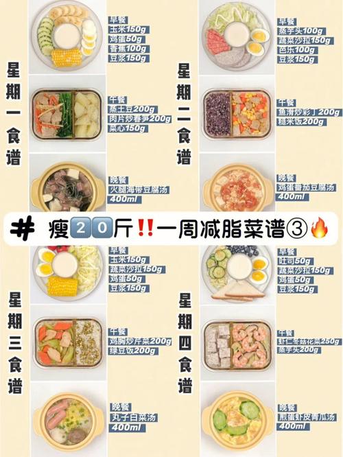 减肥的菜谱-减肥的菜谱大全及做法