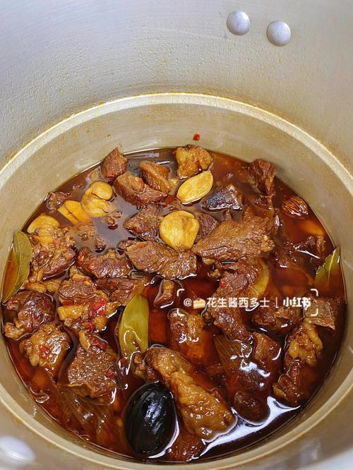 红烧牛肉的做法-红烧牛肉的做法 最正宗的做法