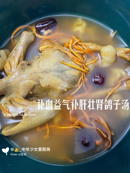 鸽子汤的做法-鸽子汤的做法补气补血