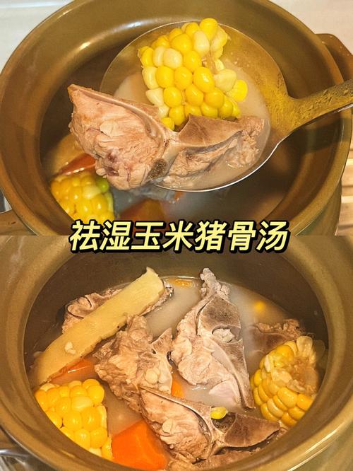 猪骨汤-猪骨汤的做法大全