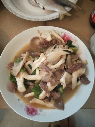 肉蘑-肉蘑菇图片