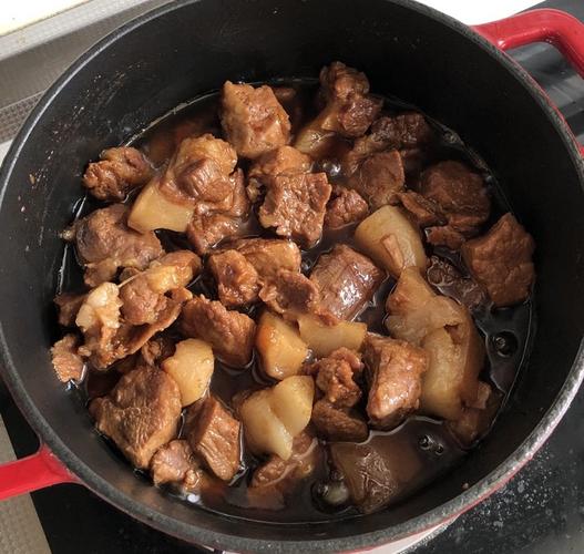炖肉的家常做法-炖肉的家常做法简单