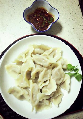 羊肉饺子的做法大全-羊肉饺子的做法大全窍门