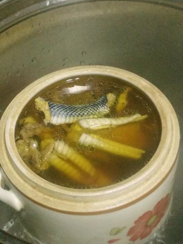 蛇汤的做法-蛇汤的做法大全家常