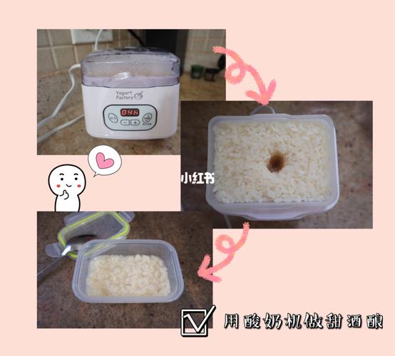 酸奶机做米酒-酸奶机做米酒的制作方法