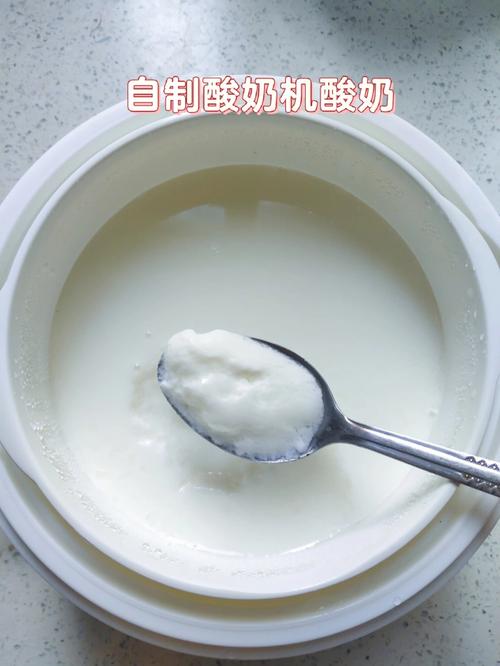 怎么用酸奶机做酸奶-怎么用酸奶机做酸奶更好吃