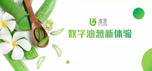 油葱-油葱完美商城