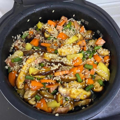 懒人饭-懒人饭的做法电饭煲