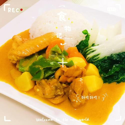 咖喱鸡饭-咖喱鸡饭的做法大全