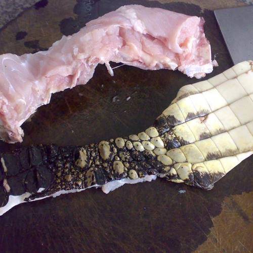 鳄鱼肉的做法-