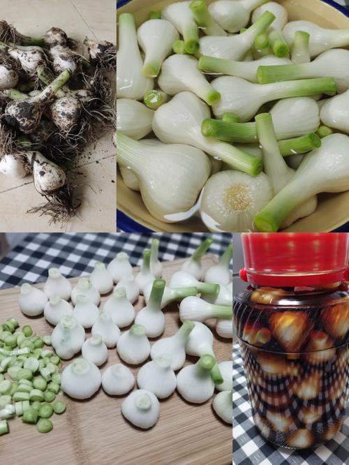 糖醋蒜的腌制方法 家常-糖醋蒜的腌制方法 家常 正宗视频