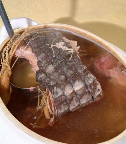 鳄鱼肉止咳-鳄鱼肉止咳配方