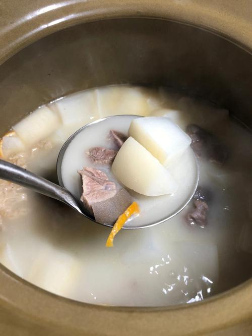 萝卜炖羊肉的做法-萝卜炖羊肉的做法 最正宗的做法