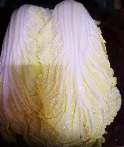 金边白菜-金边白菜是哪个地方菜