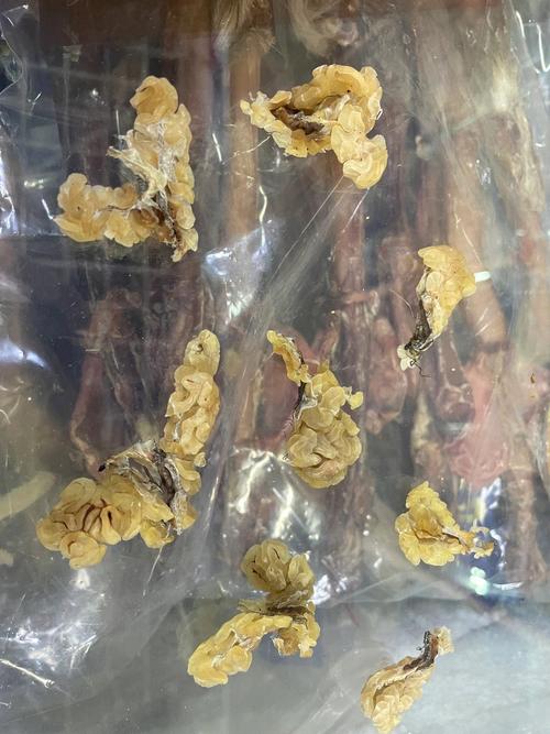 林蛙-林蛙油的作用与用途