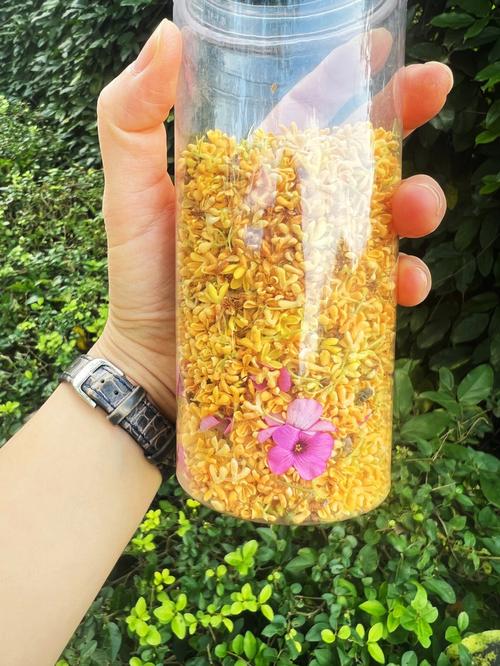 桂花蜜-桂花蜜是怎么做的