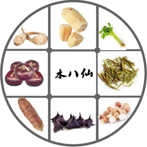 水八鲜-水八鲜是哪八种水生植物呢