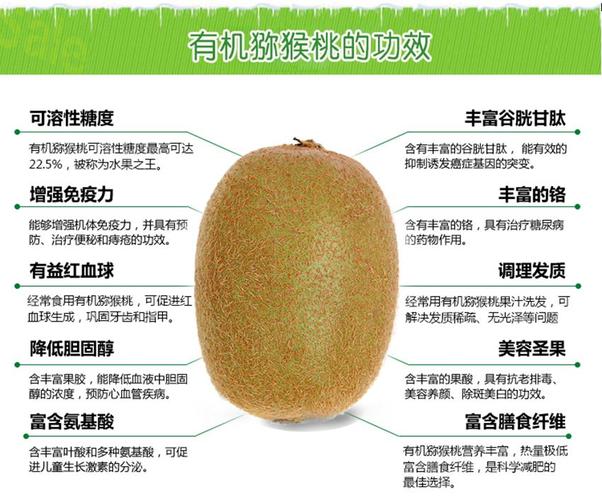 猕猴桃-猕猴桃的功效与作用