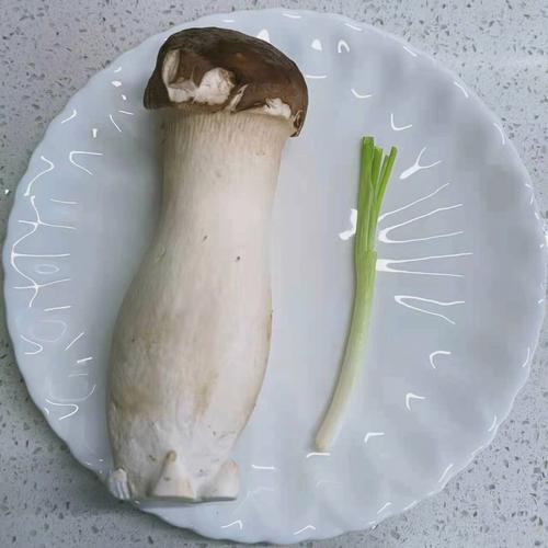 鸡腿菇-鸡腿菇图片
