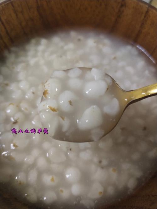 薏米粥-薏米粥的做法