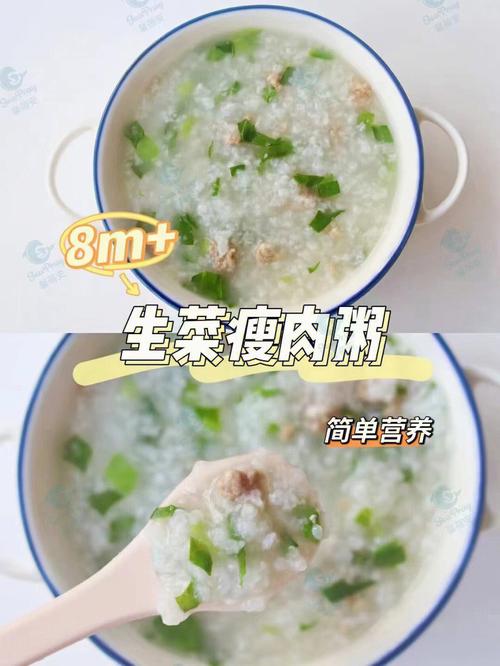 瘦肉粥的做法-瘦肉粥的做法简单又好吃