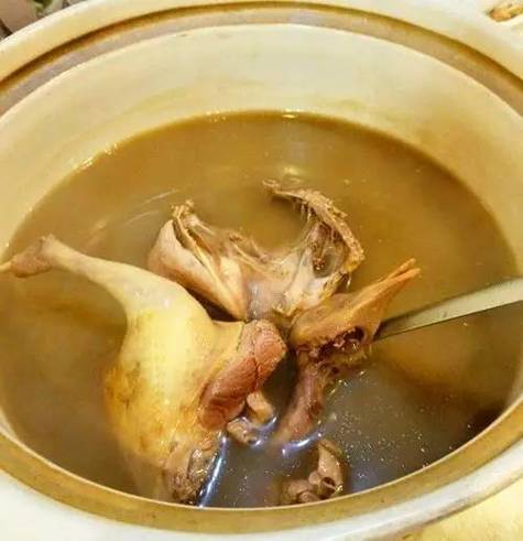 乳鸽汤-乳鸽汤下奶还是回奶