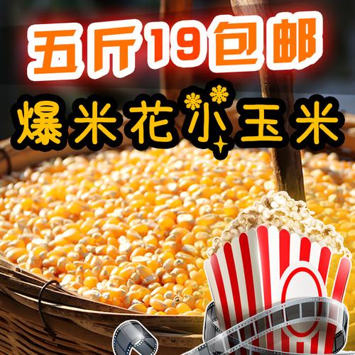 爆米花玉米-爆米花玉米和普通玉米的区别