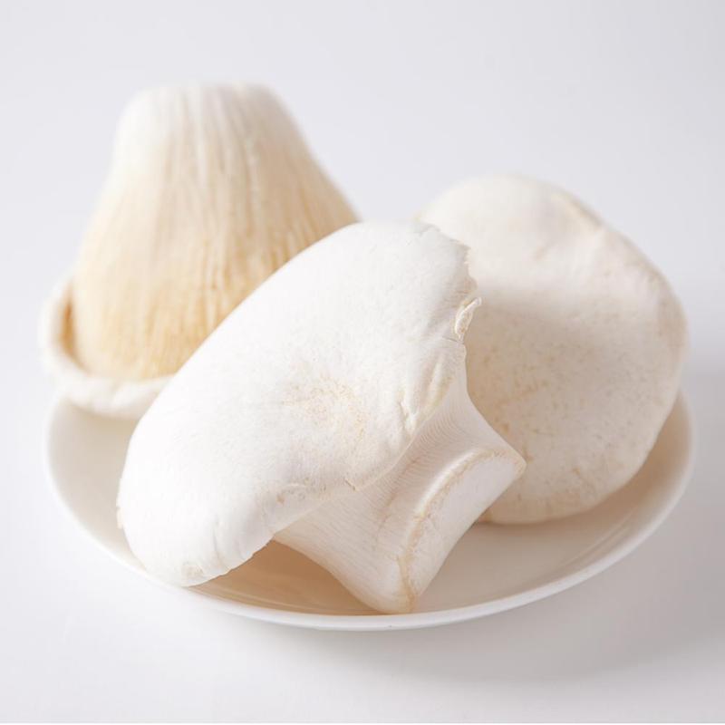 白灵菇图片-白灵菇图片大全简介