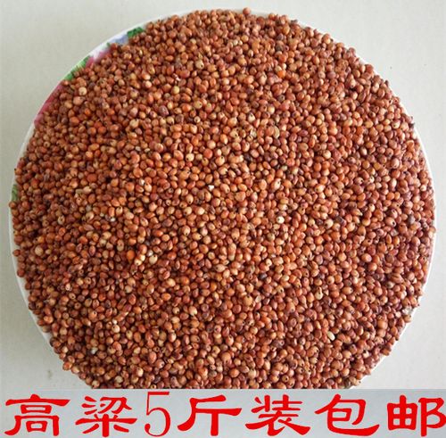 高粱米-高粱米的功效与作用