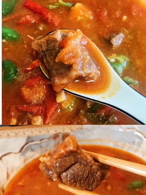 西红柿炖牛腩-西红柿炖牛腩的做法最正宗的做法