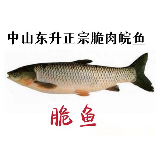 脆肉皖-脆肉皖鱼是什么鱼