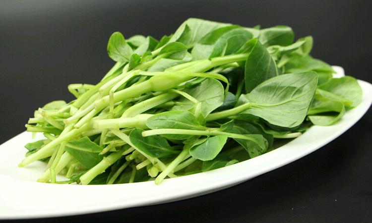 鸡毛菜图片-鸡毛菜图片大全大图