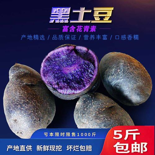 黑美人土豆-黑美人土豆的功效与作用