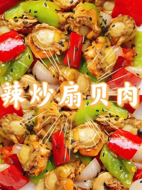 扇贝的做法大全-扇贝的做法大全家常菜