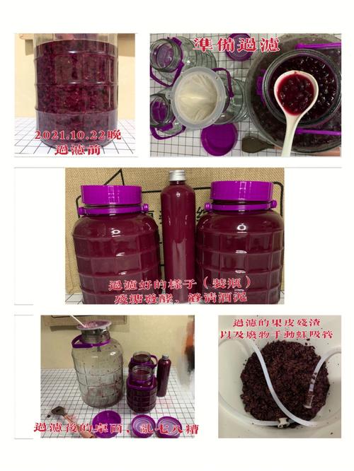 自制葡萄酒做法-自制葡萄酒的做法大全