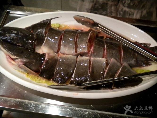 梭边鱼-梭边鱼是什么鱼