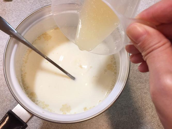 奶酪的做法-奶酪的做法视频教程