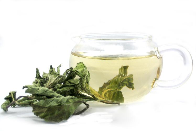 薄荷叶茶-薄荷叶茶的功效与作用