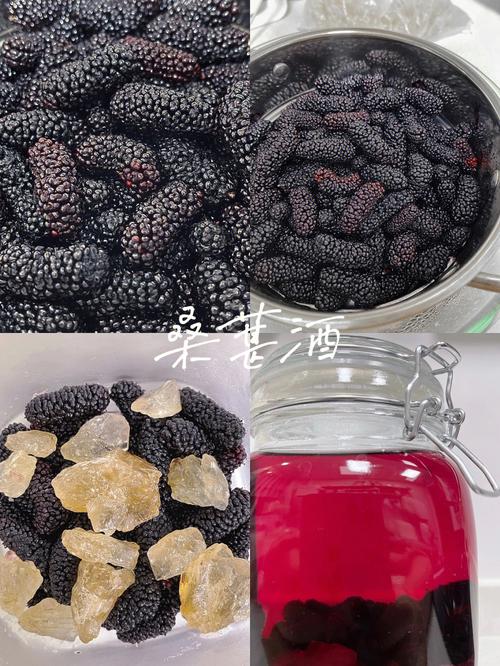 桑果酒-桑果酒有什么作用和功效