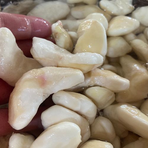 菱肉-菱肉是什么肉