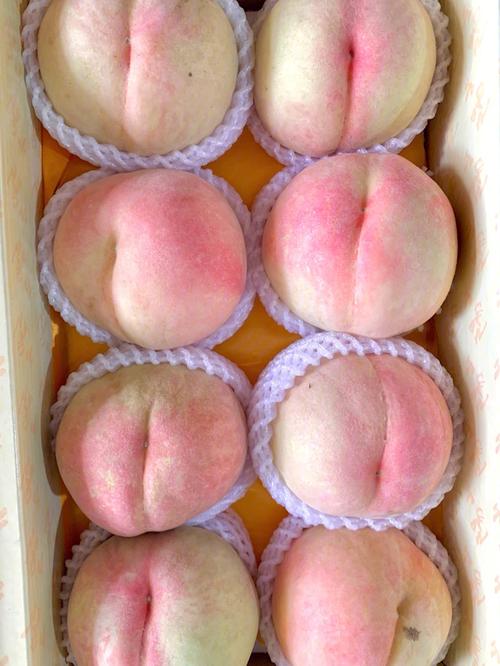 水蜜桃-